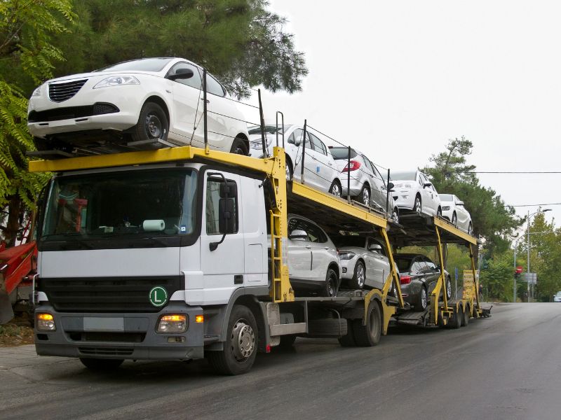 sistema para transportadora